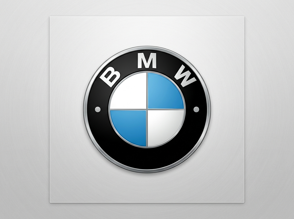 BMW logo brand icon